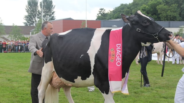 Cream of the crop, Virginia Show winners