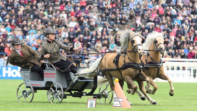20,000 a day attend Dublin Horse Show