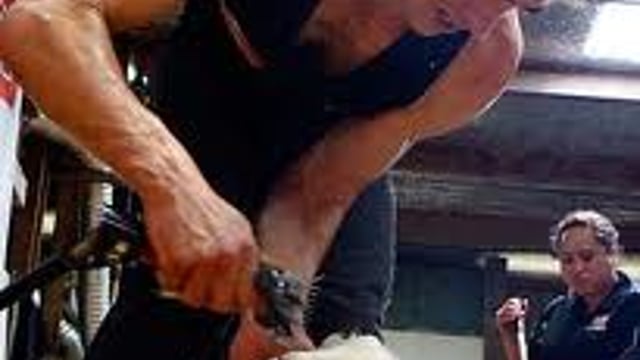 World lamb shearing champion set for Tullamore