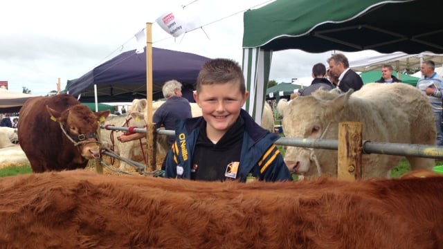 A flavour of livestock