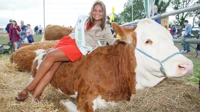 Traffic information for Tullamore Show