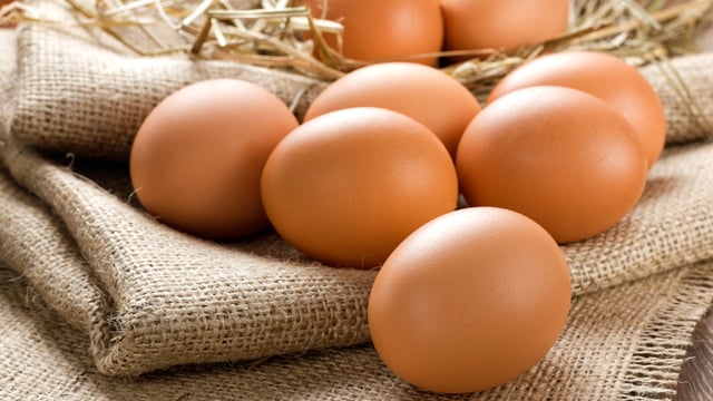 Eurostat: Slower increase in egg prices over the past year