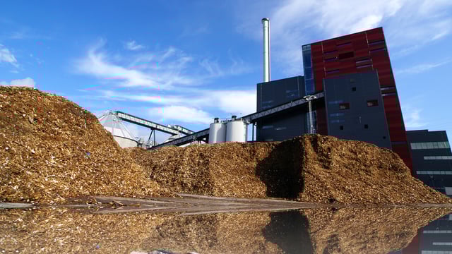 Bioeconomy Implementation Group issues first report to Government