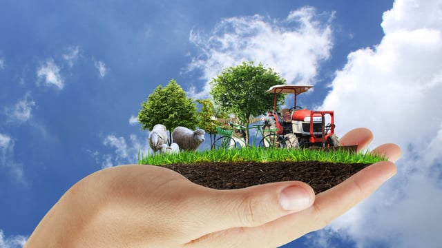 Agri-sector plays crucial role in economy