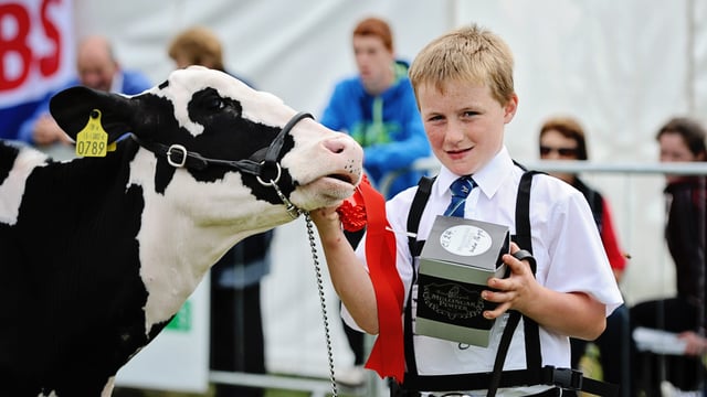 Winners at the Tullamore Show