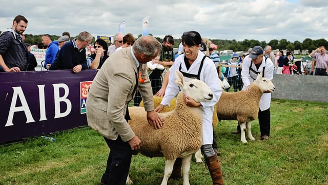 Events: Agri shows and fun days taking place this weekend