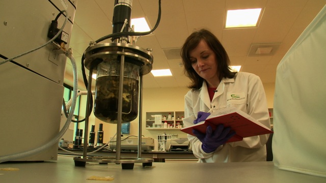 Tasty seaweed, Teagasc researchers on the big screen tonight