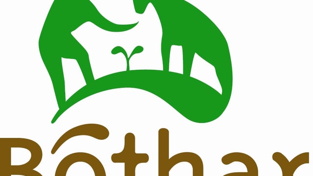 Cost of alleged fraud at scandal-hit Bóthar reaches €1.2m