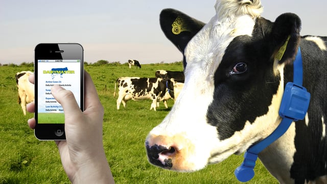Arla in merger mood