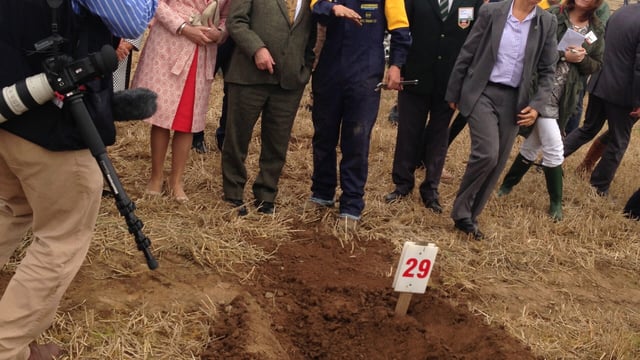 President hails Irish agriculture