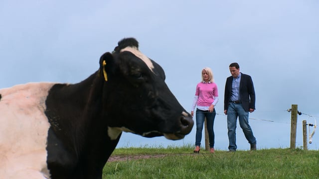 Teagasc brings innovative sex research to the big screen