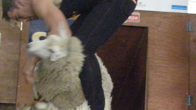 China continues to dictate Irish wool prices