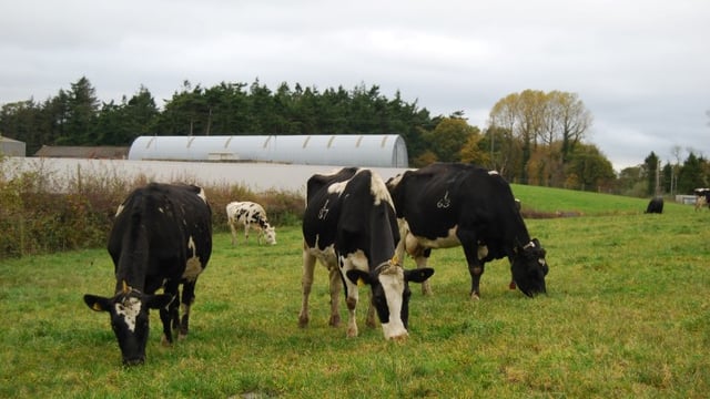 Lameness needs early detection