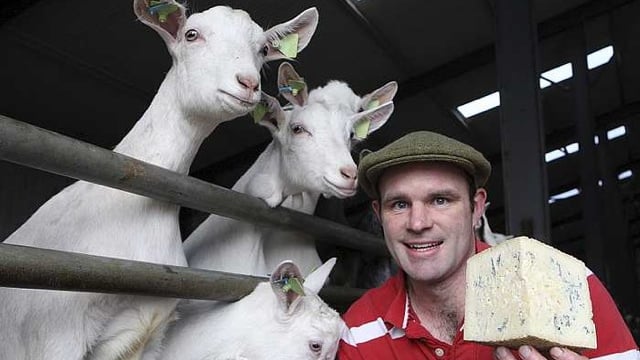 This Week’s Farmer of the Tweet: Michael Finnegan
