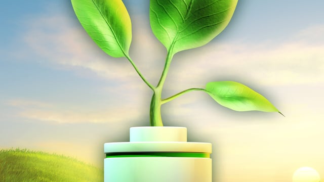 Innovation drive key to growing rural entrepreneurs, UCD