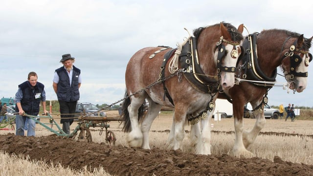 Ploughing through the years