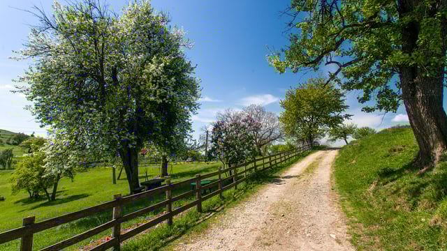 Traditional farm buildings grant scheme opens