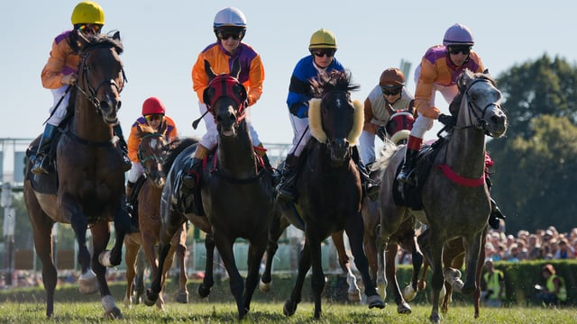 Irish beef takes centre stage at the biggest horse racing event in the US