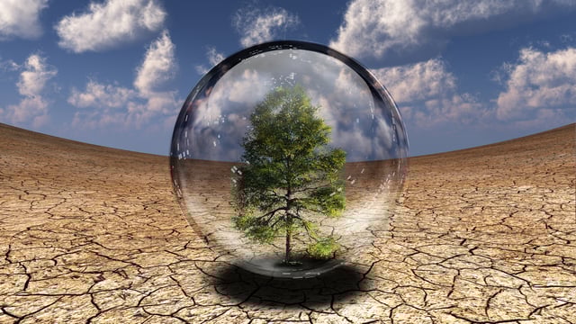 Disease linked to climate change and biodiversity loss