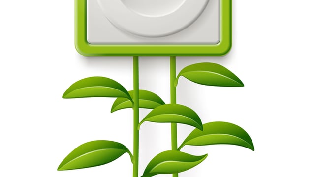 Innovations in biofuel energy solutions