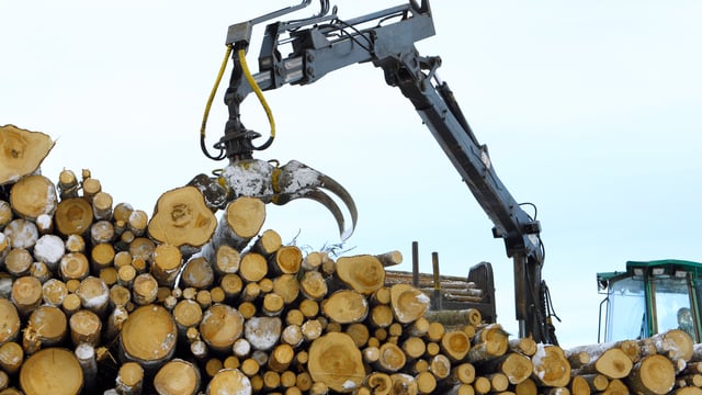 'The new environmental scheme has to wrap its arms around forestry' - Cahill