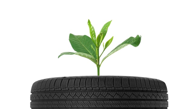 Rubber – it’s the new straw