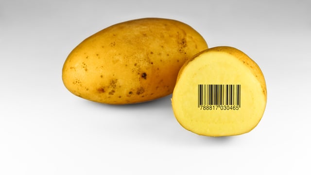 Member States to determine own rules on GMOs