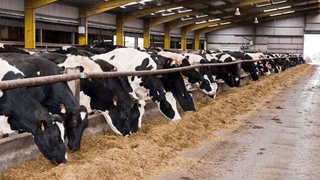 Reminder: ASA dairy event set to take place in Co. Cork tomorrow