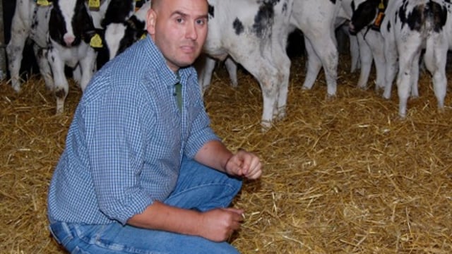 Good calf rearing is at the heart of every successful dairy farm