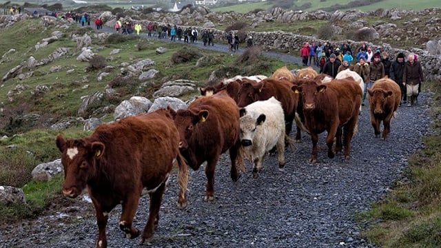 The rocky road through Burren