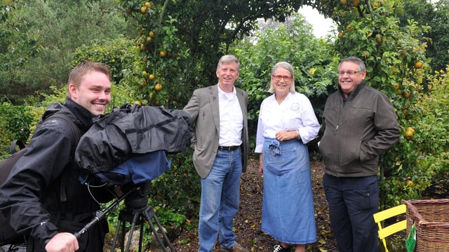 Irish gardens “ready to bloom” on breakfast television in Canada