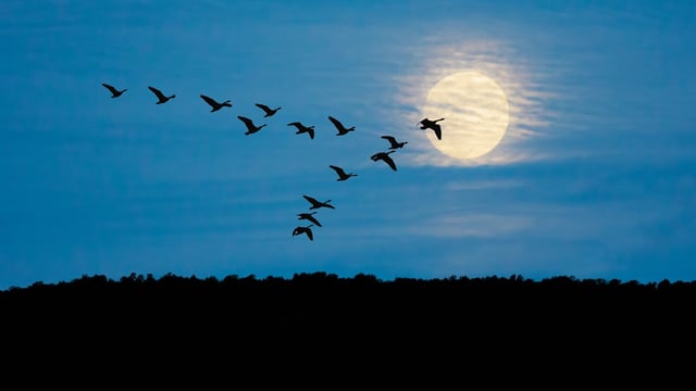 Unsettled weather set to continue