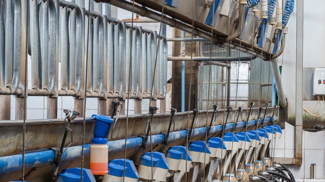 Cross-border dairy council dispute