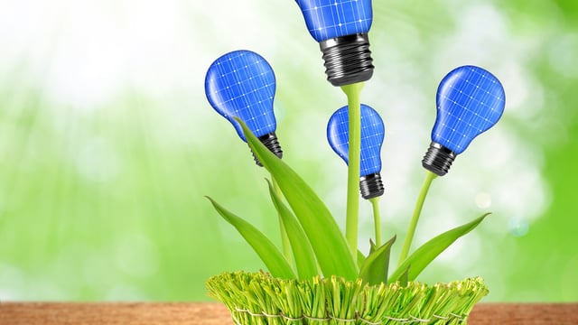 What will the farm of the future look like?
