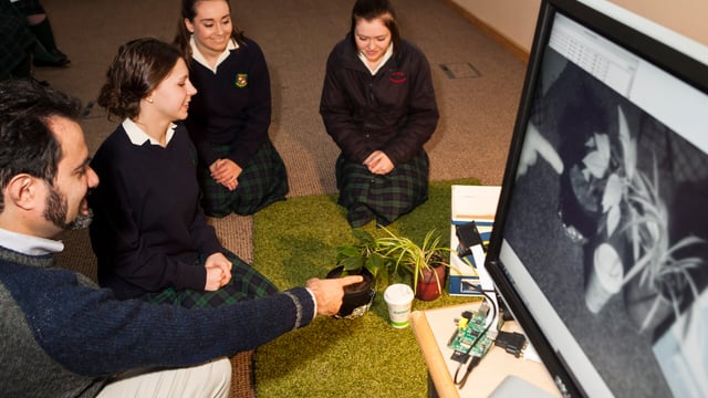 Students flock to innovation showcase