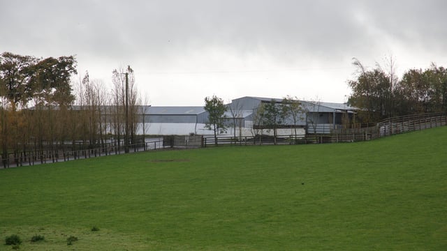 Honouring animal sales at TLT will be dealt with - Taoiseach