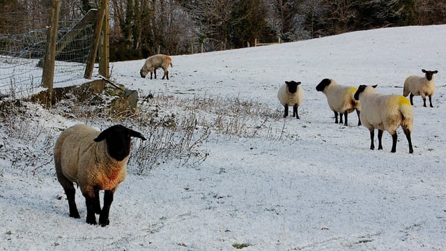 Cold snap warnings 'likely' to be upgraded to Status Red
