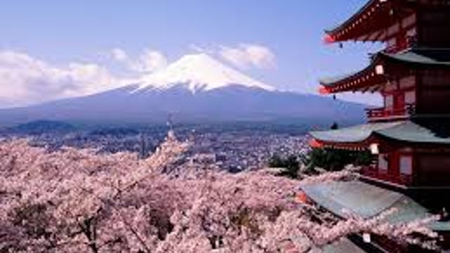 Ireland set to blossom in Japan