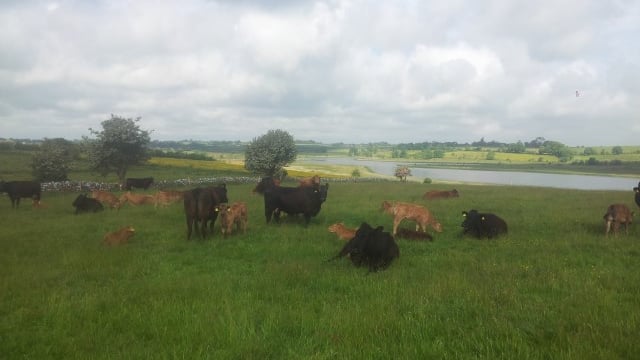 Family farm still on the table for student grant means test