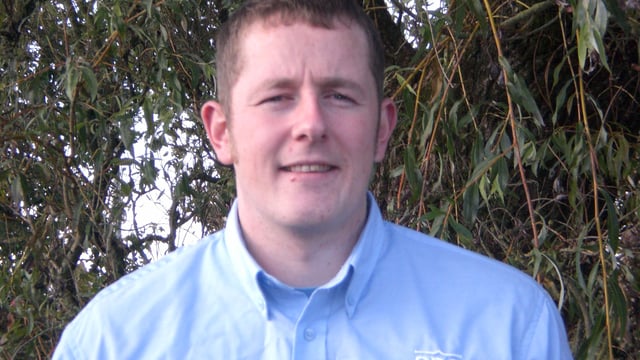 Kiwi dairy farmers now choosing Irish bulls