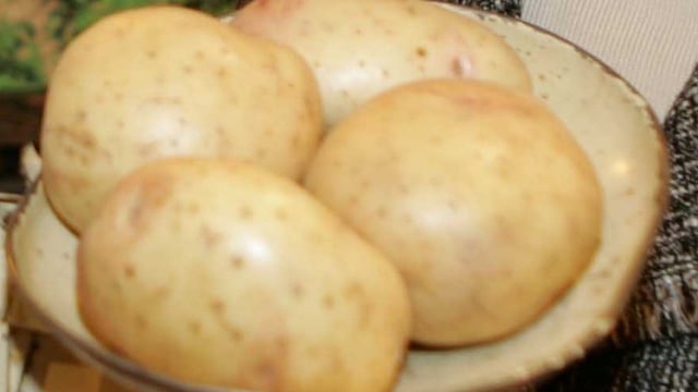 Retailers urged to support potato sector and avoid food waste