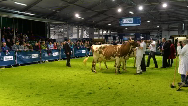 Former World Expo Dairyman of the Year to judge this year's Winter Fair