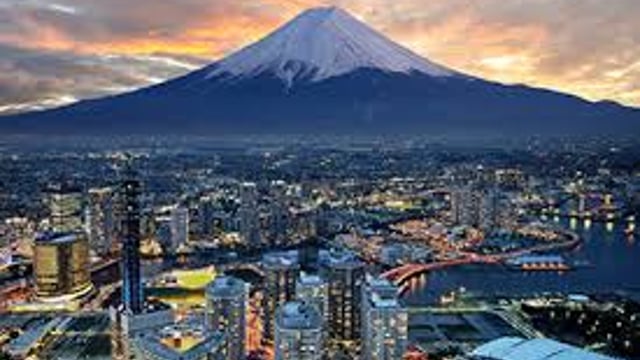 Ireland's shoguns on a Japanese mission