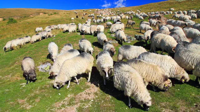 Minister accused of discrimination against hill farmers