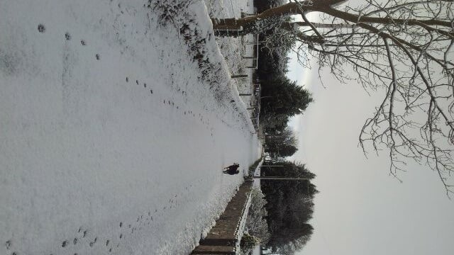 Laois farmers could be paid to salt roads this Christmas