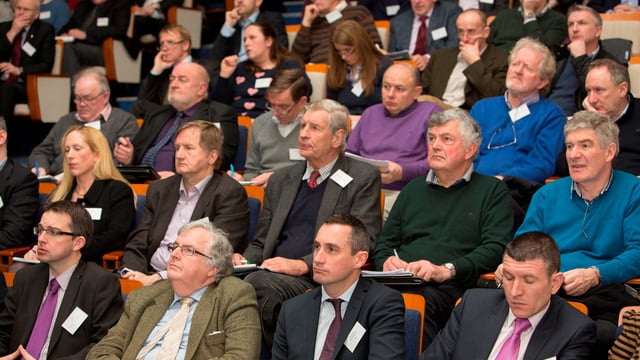 More insights into Ireland's new RDP