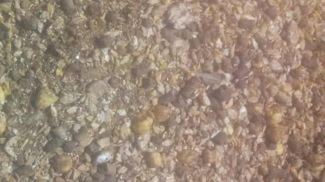 How much are you paying for your concentrates?