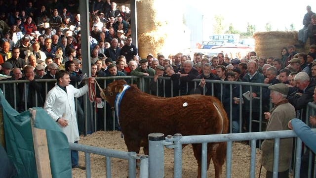 Jam-packed 2014 for the ICBF