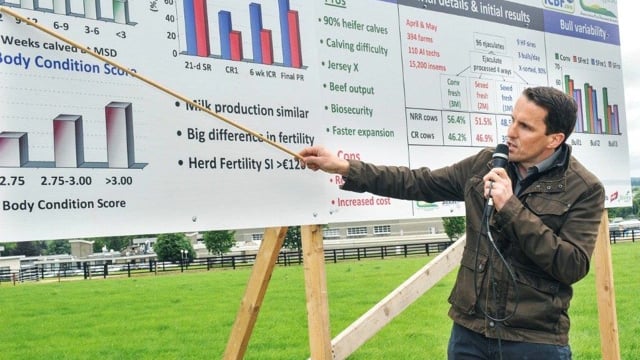 Sexed semen key for profit, Teagasc