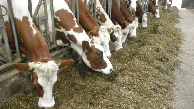 New EU organic rules outlined